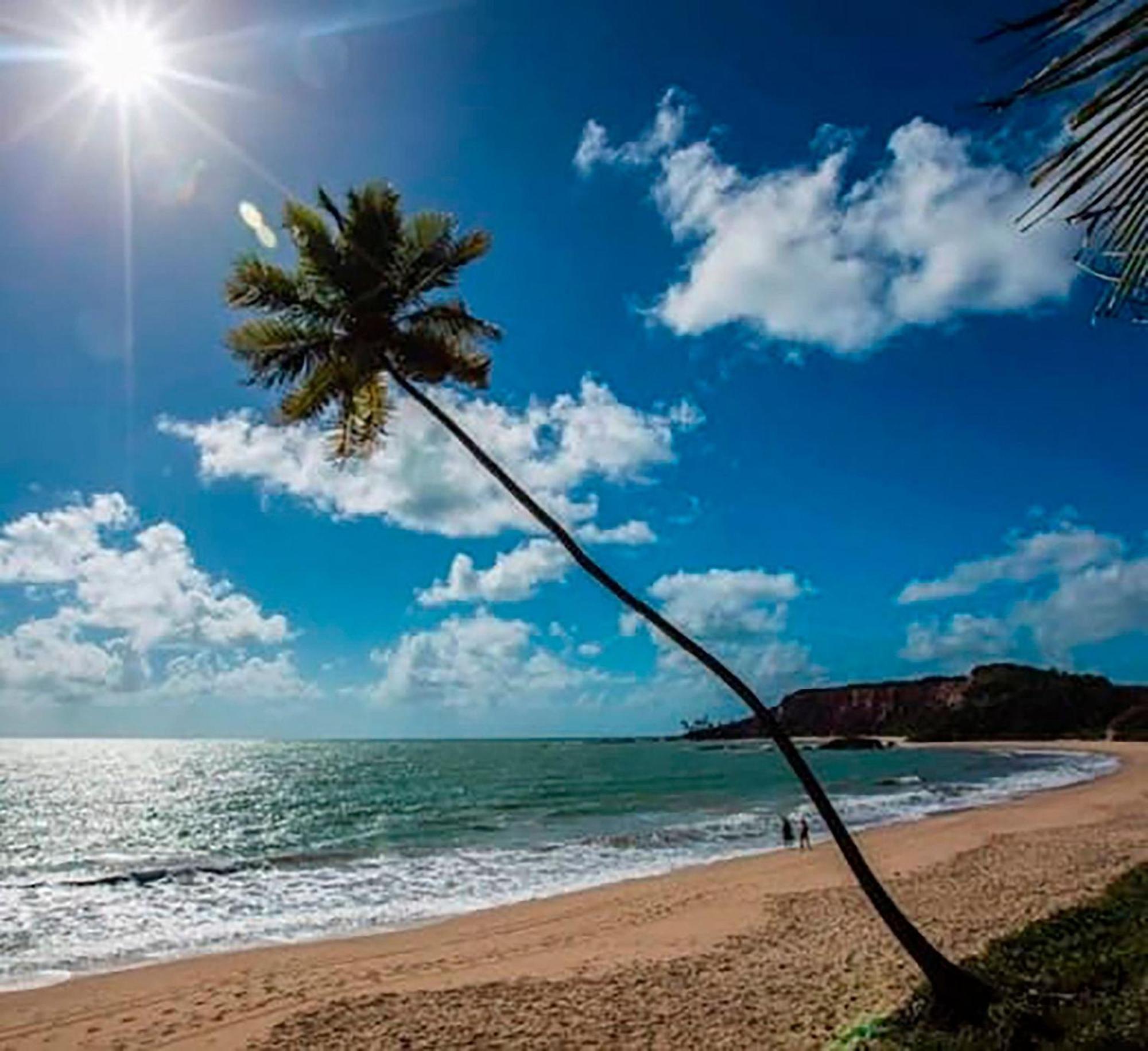 Flat Frente Mar - Praia De Tabatinga Conde  Eksteriør bilde